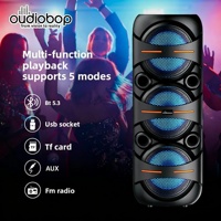 Système audio sans fil pour fête en plein air avec logo personnalisé, haut-parleur extérieur, son BT 5.3, liaison TWS pour plage, stéréo haute fidélité