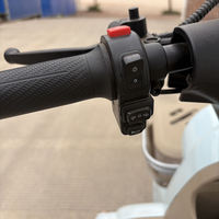 Özel Dönüşüm Kiti 60V 750W Golf Yetişkin İki Kişilik Üç Tekerlekli Elektrikli Bisiklet Üç Tekerlekli Bisiklet