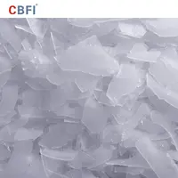 Mesin Flaker Es Industri Buatan Tiongkok dengan Sertifikasi ISO Pembuat Es Serpihan