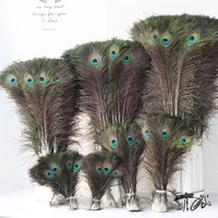 Pfauenfedern Großhandel 25-130cm Lange Pfauenfedern für Handwerk, Heimdekoration, Blumenarrangements, Ornamente; Natürliche Federn