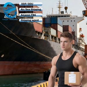 Entrepôt Amazon Expédition maritime livraison porte-à-porte expédition rapide et professionnelle de fret de la Chine vers la France et l'Allemagne - Product Image 1