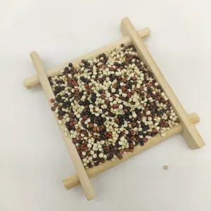 Factory Wholesale Tri-color Quinoa Seeds Organic Red / Black / White Quinoa For Sale