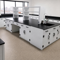 Mesa de Trabajo Profesional para Laboratorio Hospitalario SCEELAB, Resistente a Ácidos y Bases, Fabricada en PP, con Armarios y Cajones