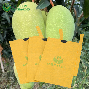 Bags For Orange Agricultural Food Grade Fruit Bagging White Paper Fresh Mango Protection Bag Bags For Orange Agricultural Food Grade Fruit Bagging White Paper Fresh Mango Protection Bag