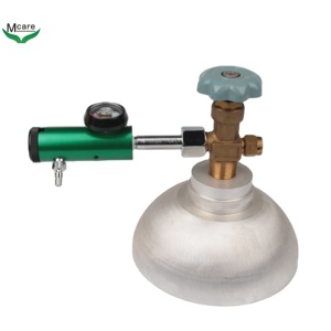 Buen precio, buena calidad, buen servicio, válvula reguladora <span class=keywords><strong>de</strong></span> oxígeno médico, uso <span class=keywords><strong>CGA</strong></span> <span class=keywords><strong>540</strong></span>, producción MCARE - Product Image 5
