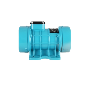 Vibrateur électrique pour béton à plaque plate avec moteur externe et roulement intégré ZW-2G 0,25KW 0,55KW 220V 380V 2840RPM - Product Image 1