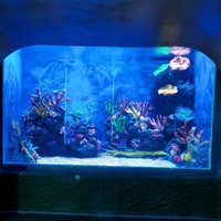 Leyu Direktvertrieb Umweltfreundliches Zylindrisches Acryl-Aquarium Maßgefertigte Größe Professionell