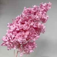 Hortensia rose en forme de cône, fleurs préservées 100% naturelles, longue durée de vie (3-5 ans), préservation éternelle à la glycérine, Thanksgiving