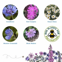 Beau kit de plantes de bombe de graines de fleurs sauvages dans une boîte à boules de fleurs artificielles Kit de jardinage et de jardinières Caractéristique suspendue pour une utilisation au sol