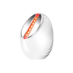 Neueste EMS Hautpflege-Werkzeuge mit 3 LED-Lichttherapie Vibration Gesichts- und Nackenlifting-Massage magnetisches galvanisches Kosmetikgerät