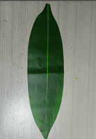 Rok sutra Ti daun buatan besar 65CM pakaian wanita DIY anak perempuan tari rok daun Ti aksesoris pesta