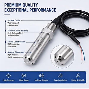 Capteur de niveau d'eau submersible robuste pour applications marines 4-20mA résistant à la corrosion pour navires IP65 - Product Image 2