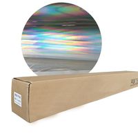 Vinilo Holográfico Autoadhesivo de PVC Permanente en Rollo para Plotter de Corte, Acabado Brillante, Venta Caliente