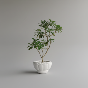 Pot de fleurs ELORA Premium en fibre de verre FRP blanc mat, classique, pour l'intérieur et l'extérieur, décoration de jardin, meilleure offre - Product Image 1