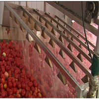 Automatische Industriële Grote Tomatenpuree Pure Fruitsaus Plant Tomatenketchup Maken Machine Tomatenpuree Productlijn