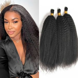 Cheveux en Vrac Humains Brésiliens Afro Crépus Raides Bruts Vierge Remy pour Tresses sans Tissage Tresses au Crochet Abordables - Product Image 2