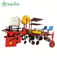 Machine à repiquer les concombres, semoir à légumes, équipement de plantation d'ail