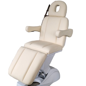 Modern Foldable Adjustable Colorful PU Leather Portable Massage Beauty Bed | Multifunctional Spa Facial Body Treatment 3 Motor - Product Image 1