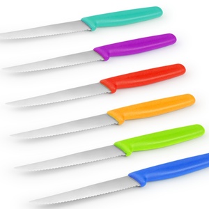 Cuchillo de Filetear Profesional para Chef, Acero Inoxidable con Alto Contenido de Carbono, 8.46 Pulgadas, Forjado, Mango Ergonómico de PP TPR, Personalizable OEM - Product Image 3