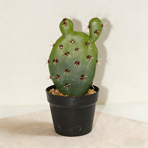 <span class=keywords><strong>Cactus</strong></span> artificiel haut de gamme, plante de bureau, simulation de <span class=keywords><strong>cactus</strong></span> du désert avec pot en plastique noir - Product Image 2
