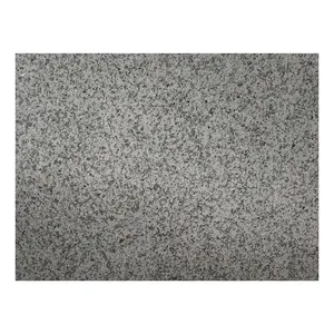 Hot bán giá rẻ Trung Quốc grey G603 padong ánh sáng flamed pha lê trắng hồ bơi lát gạch màu trắng sữa Granite