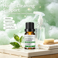 Huile Essentielle d'Eucalyptus Globulus en Vrac 80% Pure – Prix Compétitif pour Diffuseur d'Arômes – Fabricant d'Huiles Essentielles