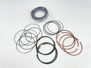 Chất lượng cao cho cho Chrysler <span class=keywords><strong>eck</strong></span>/2.0 phụ tùng ô tô New Piston Ring STD 0.25 0.50 68165501ab - Product Image 2