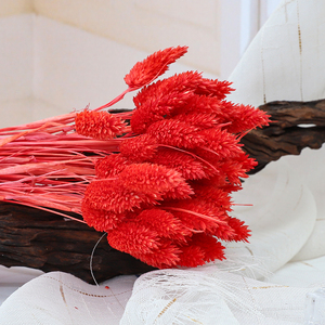 Decoración Boho, Joyería Natural, Flores Secas y Plantas, Hierba de Gemas, <span class=keywords><strong>Phalaris</strong></span>, para Regalo del Día de la Madre, Ramo de Flores - Product Image 6