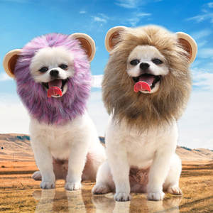 Einstellbare Halloween Lion Transformation Baumwolle Haustier Hund Katze Hut Herbst Winter Hund liefert Tier muster für Ghost Festival - Product Image 4