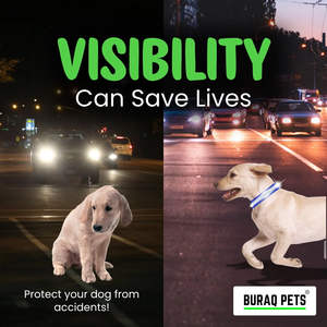 Premium Economic Reflective Dog <b>Collar</b> Adjustable Comfortable <b>Pet</b> <b>Collar</b> for Safety Visibility Daily Walking and Outdoor Use - Product Image 5