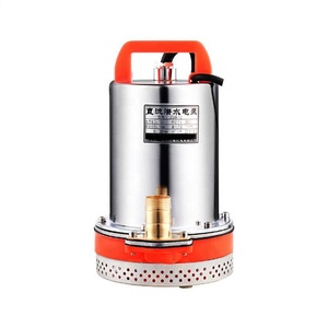 Stainless Steel DC12V Domestic Submersible <b>Water</b> <b>Pump</b> - Product Image 2