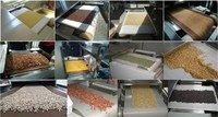 Machine de séchage et de torréfaction industrielle à micro-ondes pour café et poudre de fèves de cacao