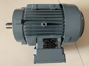 Moteur à induction triphasé AC ATB Motor Teco Regal Rexnord <span class=keywords><strong>Vem</strong></span> Marathon Leeson 7,5 kW 15 kW 30 kW 10 CV 20 CV 30 CV - Product Image 6
