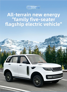 Voiture électrique mini entièrement fermée à basse vitesse, fournie directement par l'usine, véhicule de mobilité électrique quatre roues neuf, abordable et économique - Product Image 4