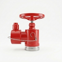 Hydrant d'incendie intérieur SN65 en acier inoxydable 304/316 pour la sécurité incendie des bâtiments intérieurs / Industrie incendie australienne / Réducteur de pression / Pompe à eau