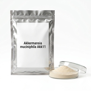 Akkermansia muciniphila Akk11 600 milliards d'UFC/g Poudre Probiotique en Vrac Matière Première pour Compléments Alimentaires - Product Image 1