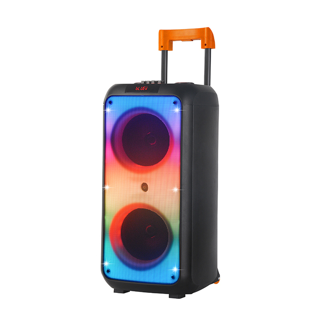 NDR-1095 Dual 8 Inch Trolley Speaker Portable Audio Player Bass Sound Mobile Phones Radio DC Power Source Stage Use