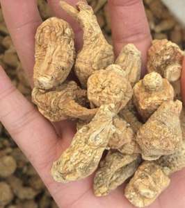 Традиционная китайская медицина, сырье, Натуральные Сушеные травы, мака, энергетический чай - Product Image 2