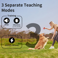 Collier anti-aboiement électrique Lanterne 2024 NOUVEAU pour dressage canin, avec avertissement par vibration, télécommande, étanche, en plastique, pour animaux de compagnie