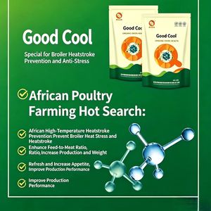 Qianbaisheng Probióticos Orgánicos para Alivio del Estrés por Calor y Reducción del FCR, Potenciador <span class=keywords><strong>de</strong></span> Enfriamiento para Aves <span class=keywords><strong>de</strong></span> Corral y Ganado, 500g/bolsa (África) - Product Image 3