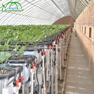 Le moins cher excellente <span class=keywords><strong>isolation</strong></span> serre solaire commerciale avec Double <span class=keywords><strong>isolation</strong></span> pour l'hiver/zone froide - Product Image 3