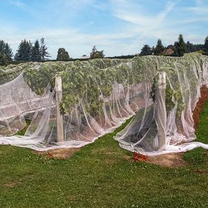Filet anti-grêle quadruple blanc d'usine, protection contre la grêle, les tempêtes, les oiseaux et les parasites, auvent Hexa-Net en HDPE - Product Image 6