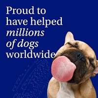 Polvo Limpiador Dental para Perros de Marca Privada, Refrescante del Aliento, Elimina la Placa, para Mascotas, Mal Aliento en Gatos y Perros