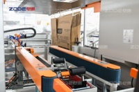 Machine à emballer faciale ZD-ZX20 de cas de papier 20 battements
