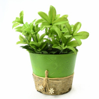 Pot de fleurs rond en métal GY BSCI, décoration de jardin, pot à fleurs en étain, décoration de maison, petit pot pour plantes