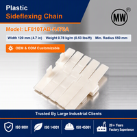China Flat Top Chain Supplier LF810TAB-K470A zijdelings flexibele acetal transportketting voor instant noodle lijnen en transportlijnen voor zeevruchten