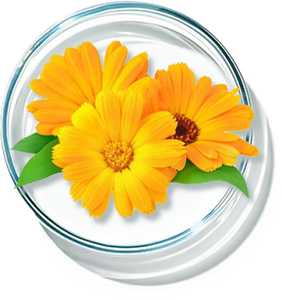 Professional <b>Copper</b> Peptide Repair Lyophilized <b>Powder</b> for Facial Firming Wrinkle Reduction & Skin Recovery - Product Image 6