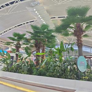 Árbol de Coco Artificial Realista para Decoración de Entrada de Hoteles, Resorts y Spas, Árboles Artificiales de China - Product Image 4