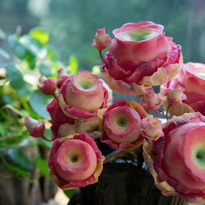 ต้นกุหลาบภูเขา ปลูกได้ทุกฤดู ง่ายต่อการปลูก ตกแต่งสวนดอกไม้ - Product Image 1