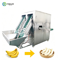 Kleine industriële machine voor het schillen van groene bananen en plantains